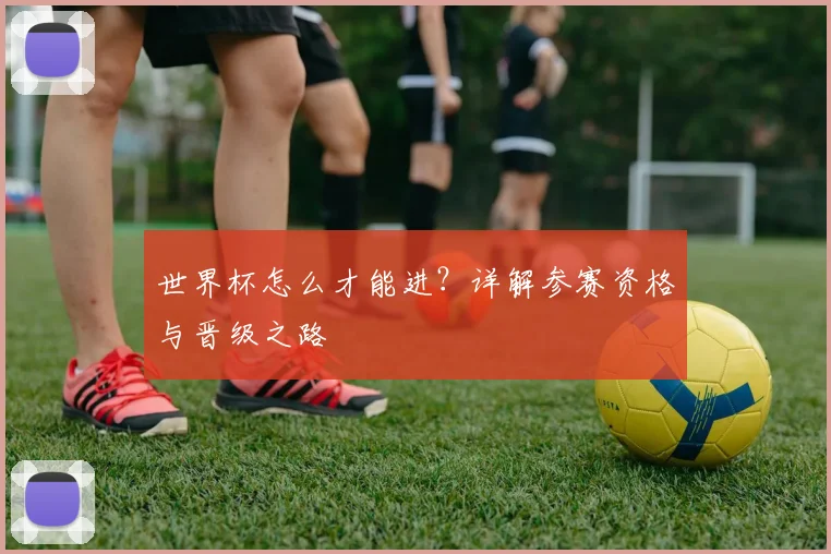 世界杯怎么才能进？详解参赛资格与晋级之路